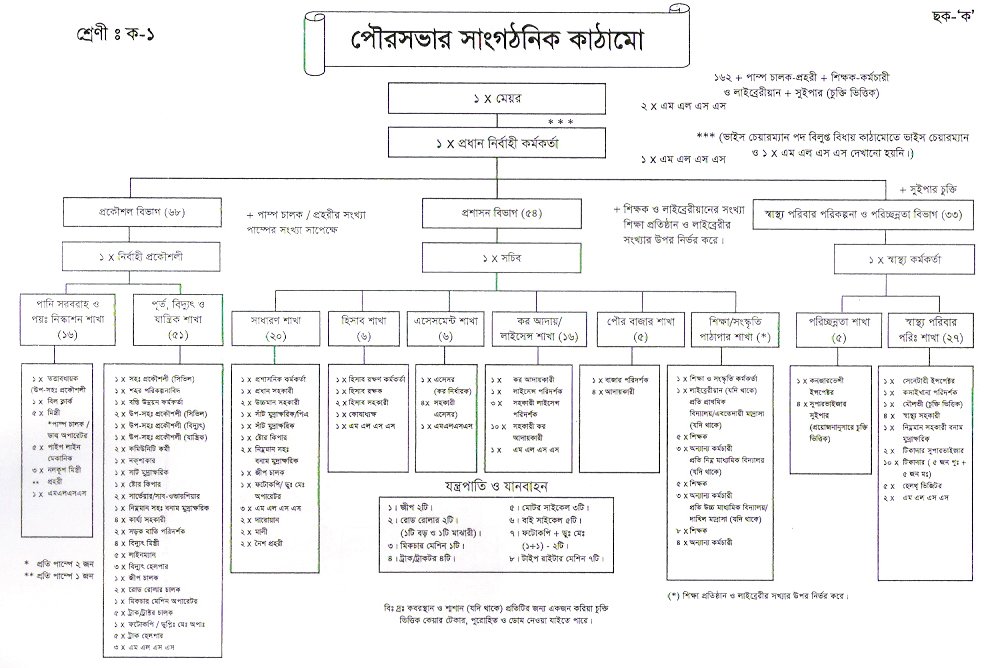 পৌরসভার সাংগঠনিক কাঠামো